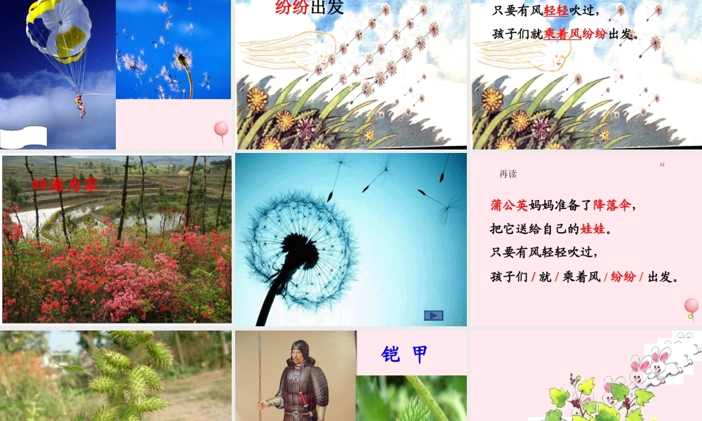 二年级语文上册 课文1 3《植物妈妈有办法》课堂教学课件 新人教版-新人教版小学二年级上册语文课件