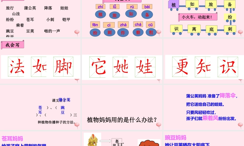 二年级语文上册 课文1 3《植物妈妈有办法》课堂教学课件1 新人教版-新人教版小学二年级上册语文课件