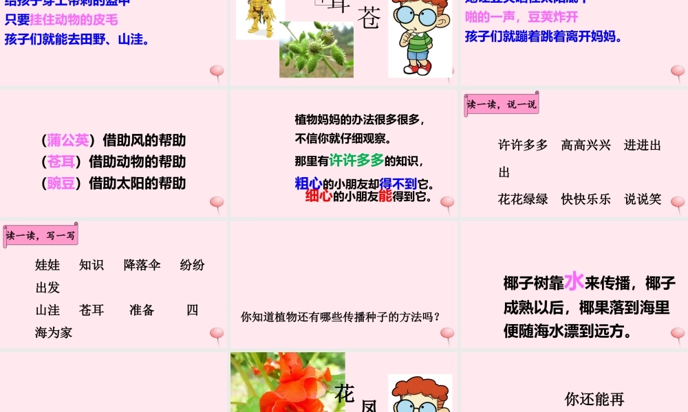 二年级语文上册 课文1 3《植物妈妈有办法》课堂教学课件1 新人教版-新人教版小学二年级上册语文课件