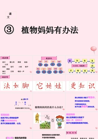 二年级语文上册 课文1 3《植物妈妈有办法》课堂教学课件1 新人教版-新人教版小学二年级上册语文课件