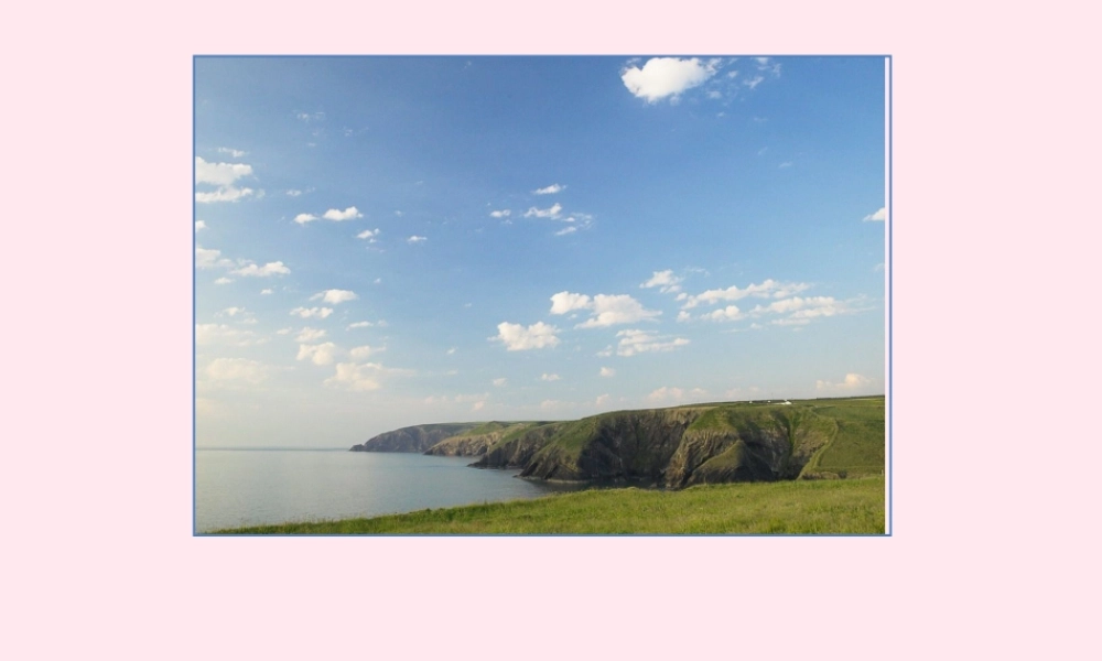 二年级语文上册 课文1 3《植物妈妈有办法》课堂教学课件2 新人教版-新人教版小学二年级上册语文课件