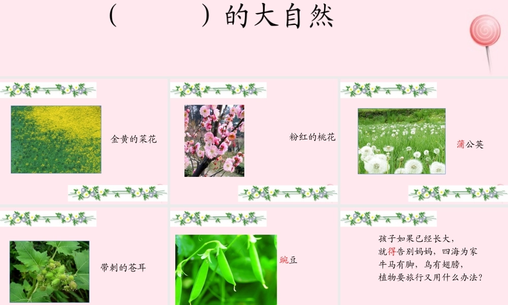 二年级语文上册 课文1 3《植物妈妈有办法》课堂教学课件2 新人教版-新人教版小学二年级上册语文课件