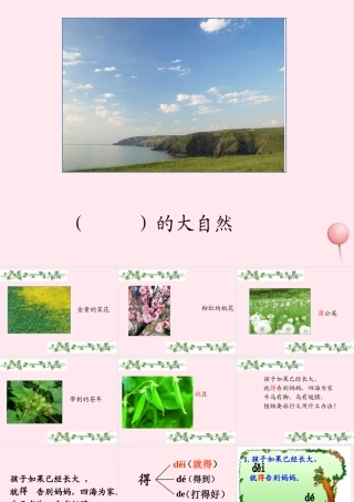 二年级语文上册 课文1 3《植物妈妈有办法》课堂教学课件2 新人教版-新人教版小学二年级上册语文课件