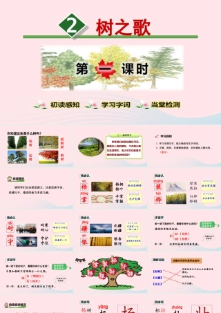 二年级语文上册 识字 2《树之歌》（第1课时）教学课件 新人教版-新人教版小学二年级上册语文课件