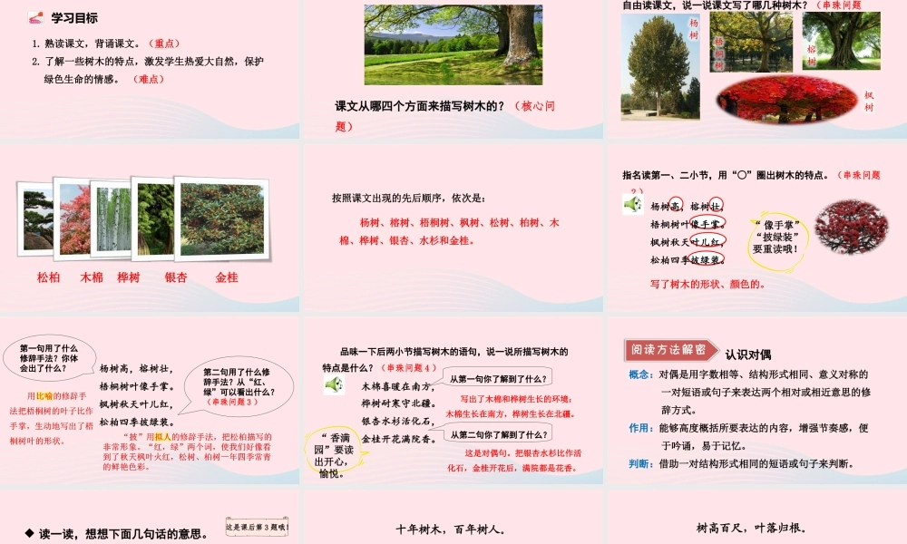 二年级语文上册 识字 2《树之歌》（第2课时）教学课件 新人教版-新人教版小学二年级上册语文课件