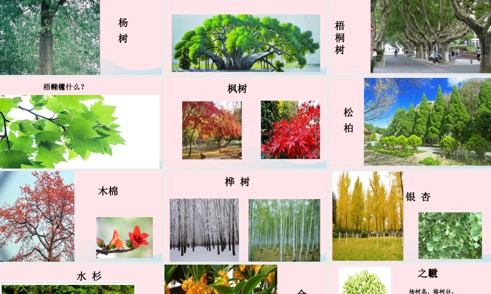 二年级语文上册 识字 2《树之歌》课堂教学课件2 新人教版-新人教级上册语文课件