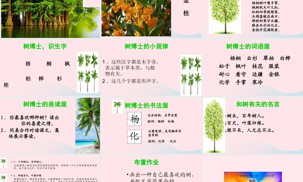 二年级语文上册 识字 2《树之歌》课堂教学课件2 新人教版-新人教级上册语文课件