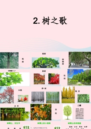 二年级语文上册 识字 2《树之歌》课堂教学课件2 新人教版-新人教级上册语文课件