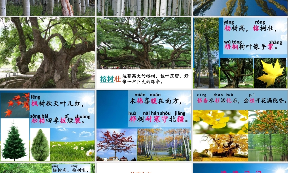 二年级语文上册 识字 2《树之歌》课堂教学课件3 新人教版-新人教版小学二年级上册语文课件