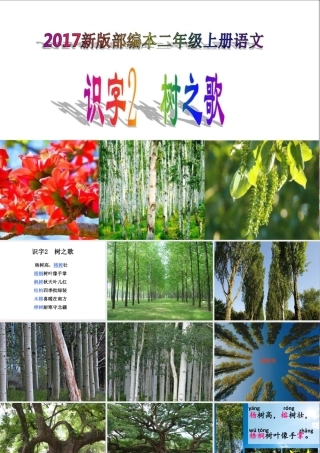 二年级语文上册 识字 2《树之歌》课堂教学课件3 新人教版-新人教版小学二年级上册语文课件