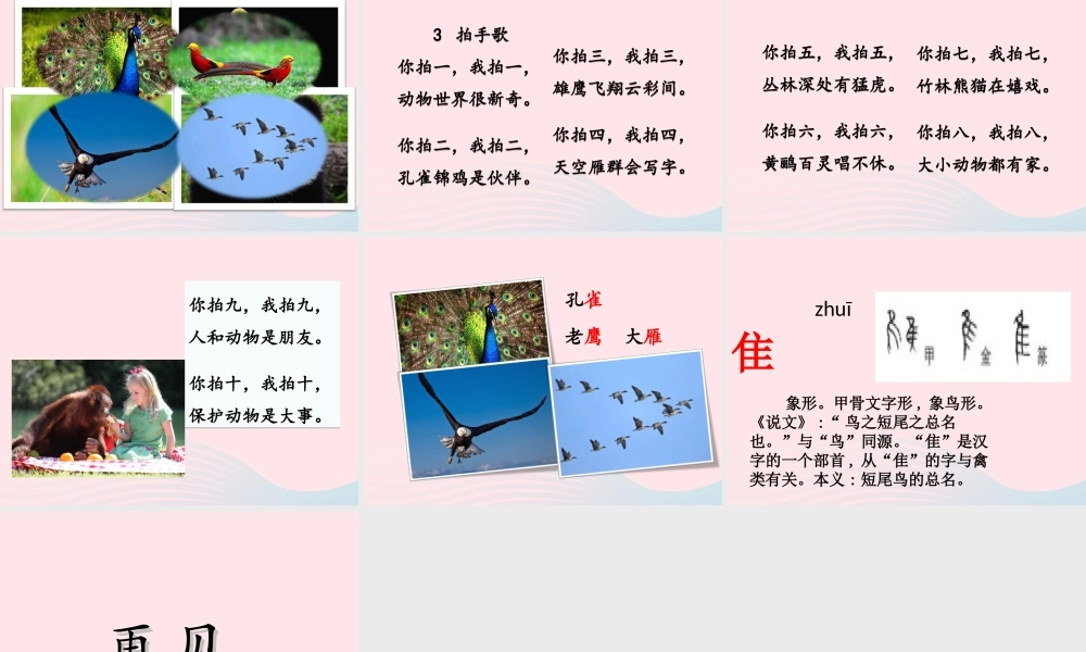 二年级语文上册 识字 3《拍手歌》教学课件 新人教版-新人教版小学二年级上册语文课件