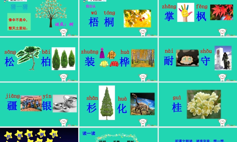 二年级语文上册 识字2《树之歌》课件1 新人教版-新人教版小学二年级上册语文课件