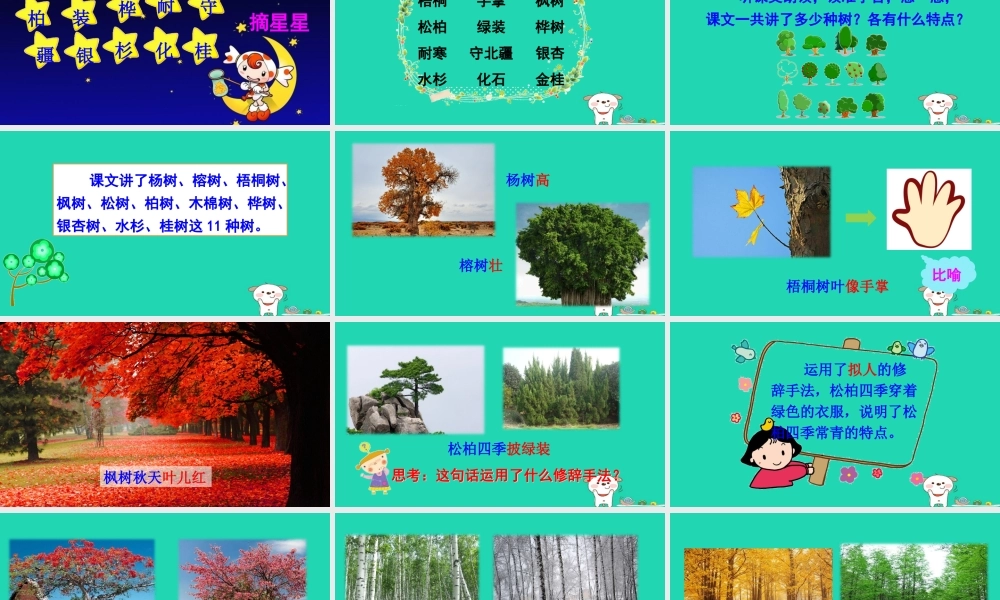 二年级语文上册 识字2《树之歌》课件1 新人教版-新人教版小学二年级上册语文课件