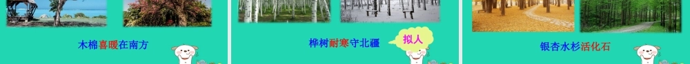 二年级语文上册 识字2《树之歌》课件1 新人教版-新人教版小学二年级上册语文课件