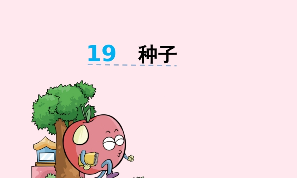 二年级语文下册 第八单元 第19课《种子》课件 湘教版-湘教版小学二年级下册语文课件