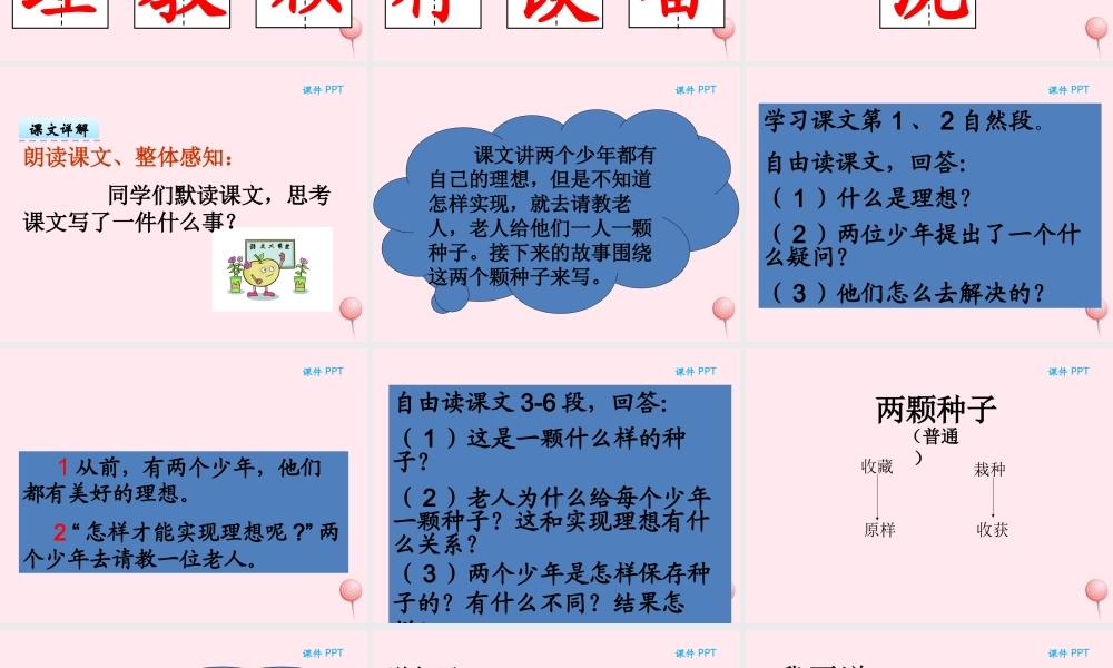 二年级语文下册 第八单元 第19课《种子》课件 湘教版-湘教版小学二年级下册语文课件