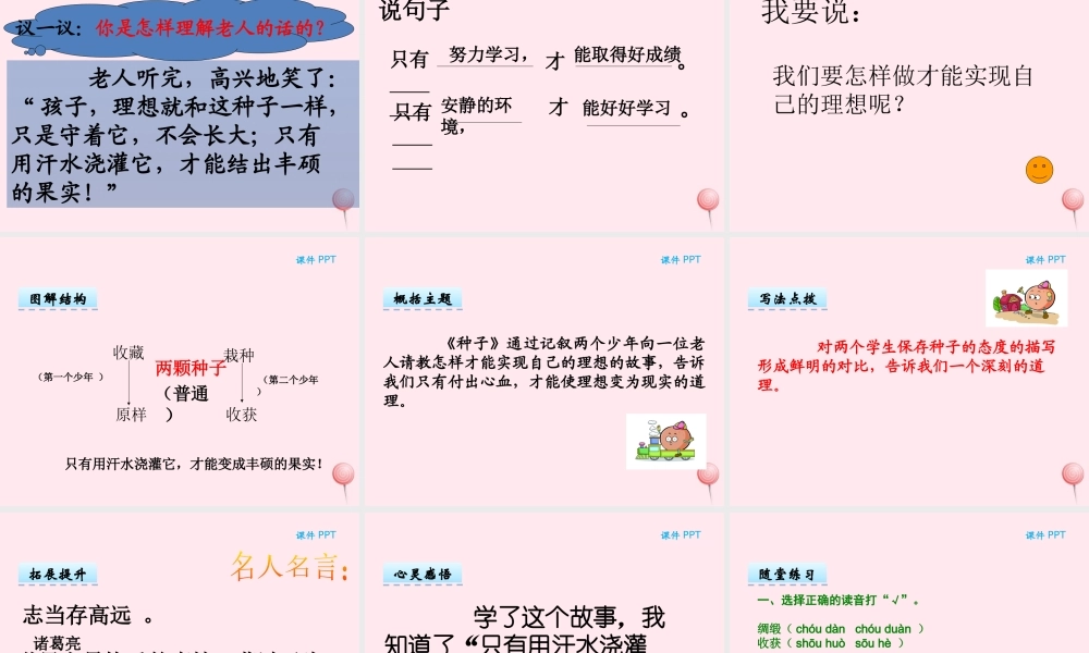 二年级语文下册 第八单元 第19课《种子》课件 湘教版-湘教版小学二年级下册语文课件