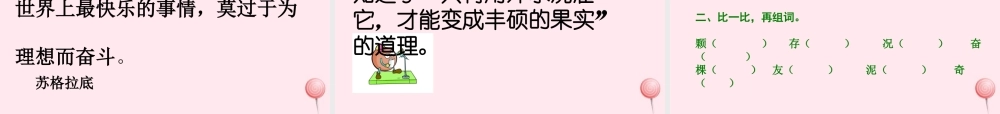 二年级语文下册 第八单元 第19课《种子》课件 湘教版-湘教版小学二年级下册语文课件