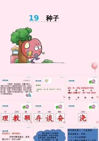 二年级语文下册 第八单元 第19课《种子》课件 湘教版-湘教版小学二年级下册语文课件