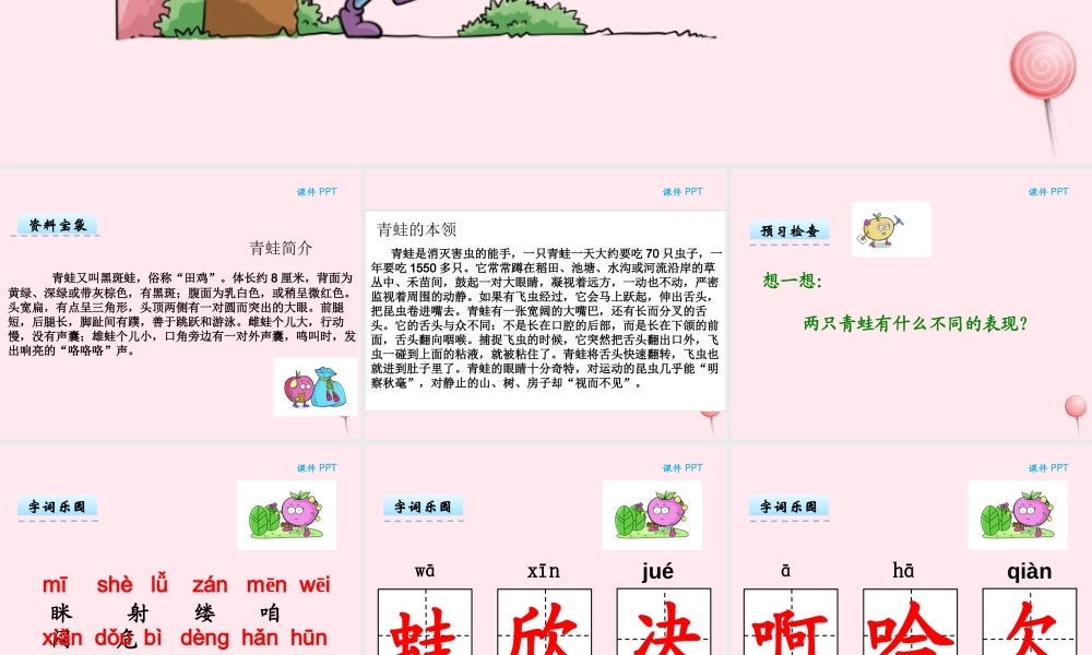 二年级语文下册 第八单元 第20课《两只青蛙》课件 湘教版-湘教版小学二年级下册语文课件