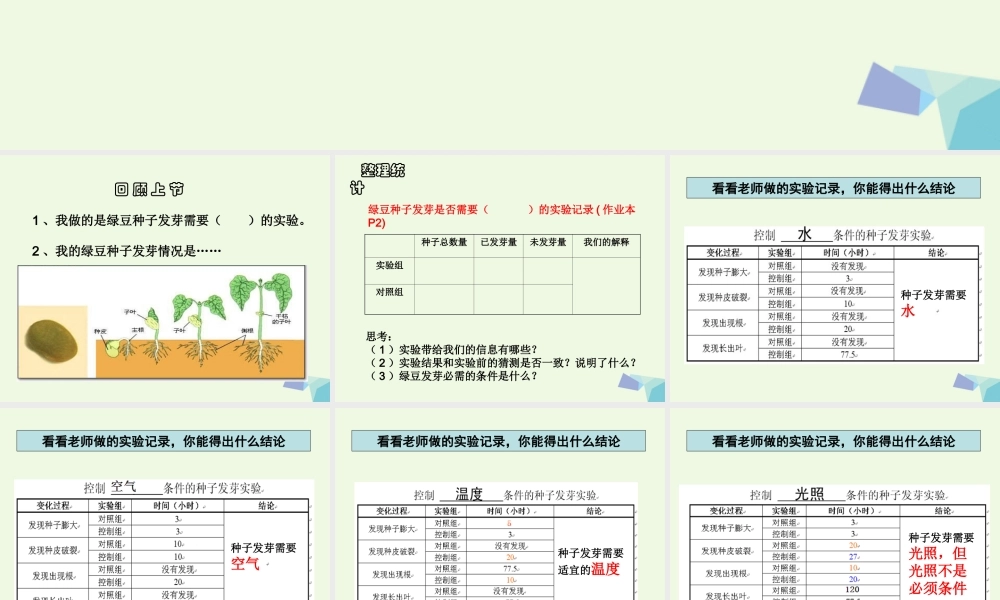 五年级科学上册 1.2 种子发芽实验（二）课件3 教科版-教科版小学五年级上册自然科学课件
