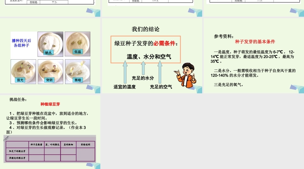 五年级科学上册 1.2 种子发芽实验（二）课件3 教科版-教科版小学五年级上册自然科学课件