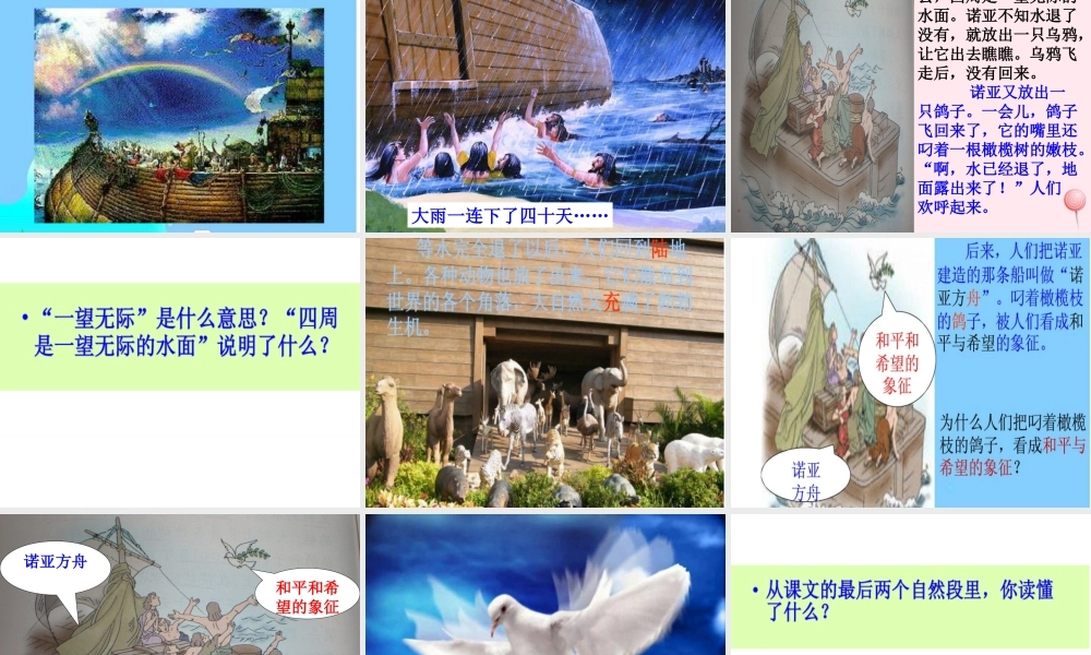 二年级语文下册 第八单元 第31课《诺亚方舟》课件1 语文S版-语文S版小学二年级下册语文课件