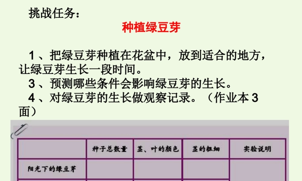 五年级科学上册 1.3 观察绿豆芽的生长课件1 教科版-教科版小学五年级上册自然科学课件