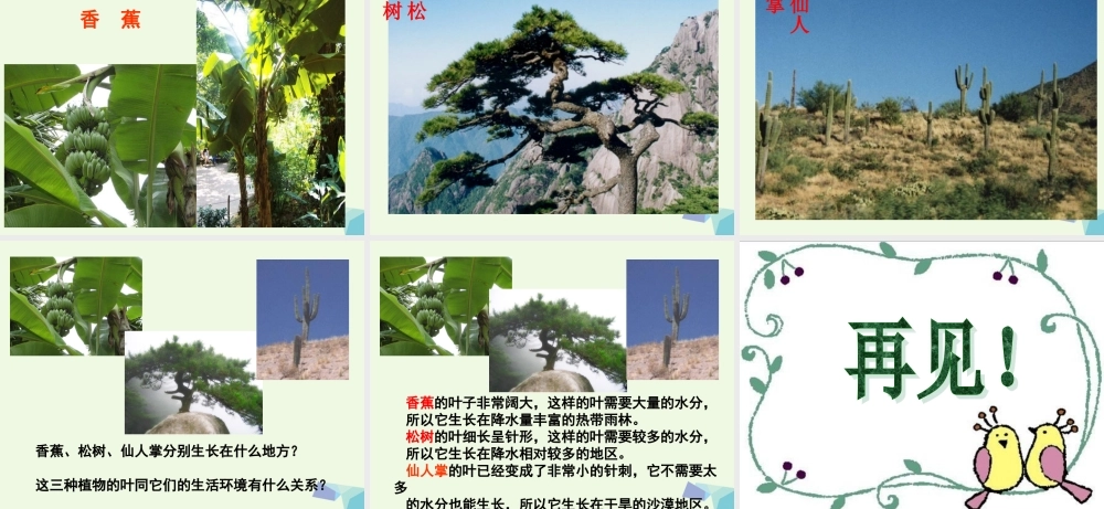 五年级科学上册 1.3 观察绿豆芽的生长课件1 教科版-教科版小学五年级上册自然科学课件