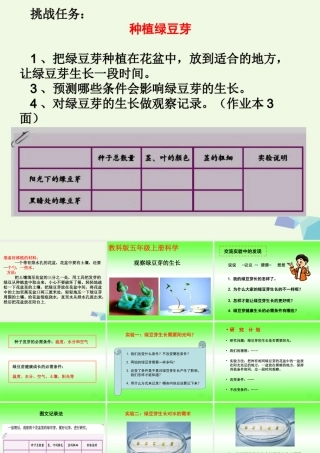 五年级科学上册 1.3 观察绿豆芽的生长课件1 教科版-教科版小学五年级上册自然科学课件