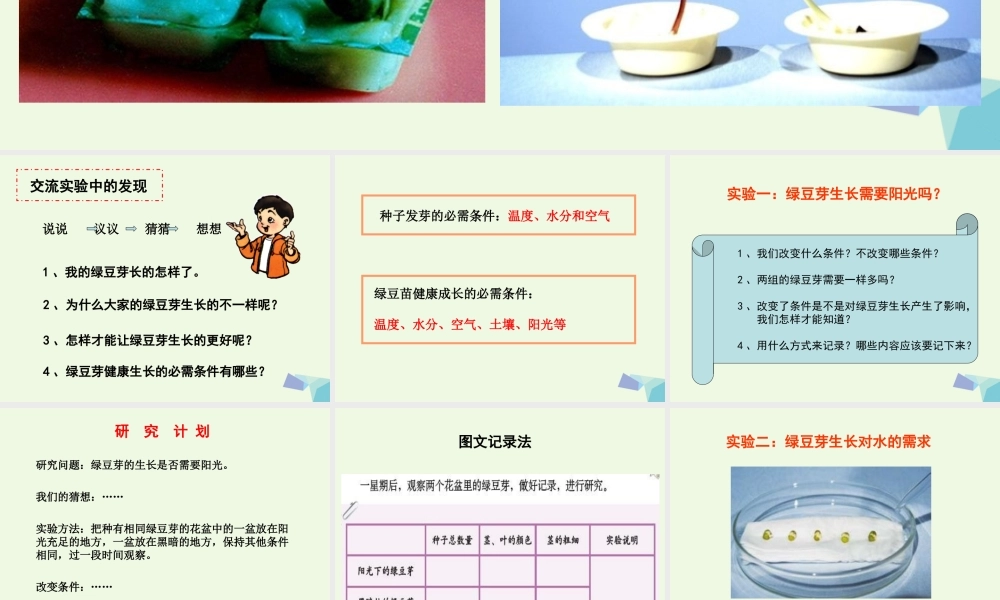 五年级科学上册 1.3 观察绿豆芽的生长课件2 教科版-教科版小学五年级上册自然科学课件