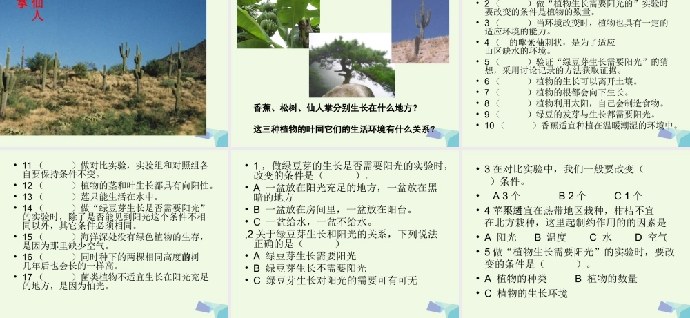 五年级科学上册 1.3 观察绿豆芽的生长课件2 教科版-教科版小学五年级上册自然科学课件