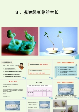 五年级科学上册 1.3 观察绿豆芽的生长课件2 教科版-教科版小学五年级上册自然科学课件