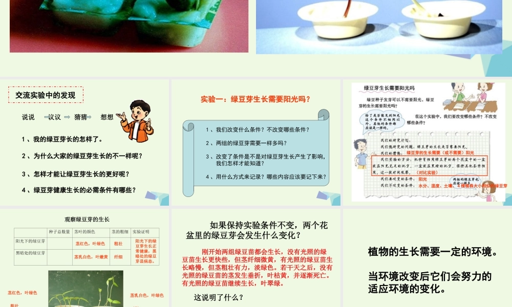 五年级科学上册 1.3 观察绿豆芽的生长课件3 教科版-教科版小学五年级上册自然科学课件