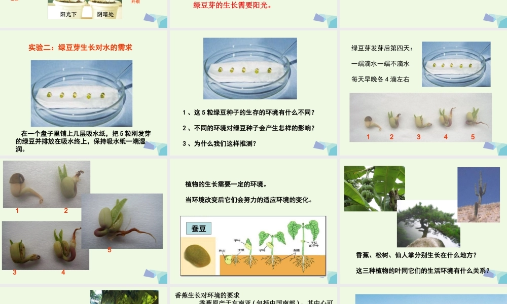 五年级科学上册 1.3 观察绿豆芽的生长课件3 教科版-教科版小学五年级上册自然科学课件