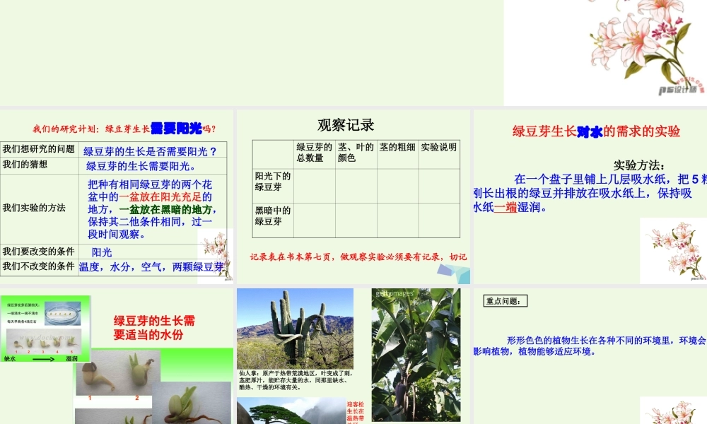 五年级科学上册 1.3 观察绿豆芽的生长课件4 教科版-教科版小学五年级上册自然科学课件