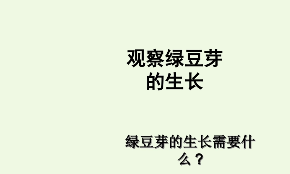 五年级科学上册 1.3 观察绿豆芽的生长课件5 教科版-教科版小学五年级上册自然科学课件