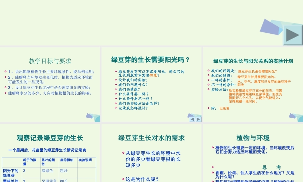 五年级科学上册 1.3 观察绿豆芽的生长课件5 教科版-教科版小学五年级上册自然科学课件