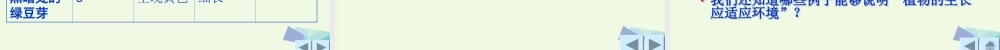 五年级科学上册 1.3 观察绿豆芽的生长课件5 教科版-教科版小学五年级上册自然科学课件