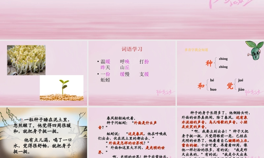二年级语文下册 课文1 2 一粒种子教学课件 西师大版-西师大版小学二年级下册语文课件