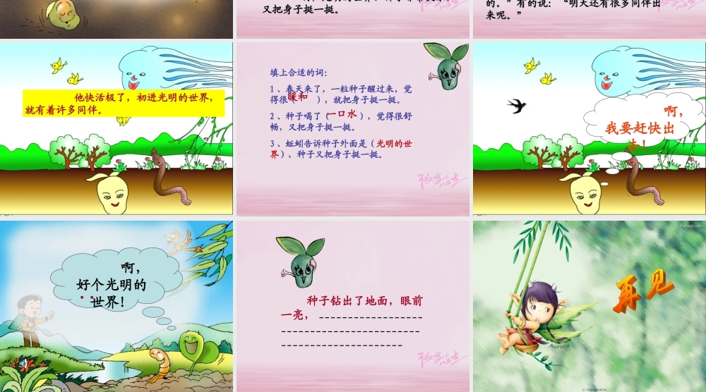二年级语文下册 课文1 2 一粒种子教学课件 西师大版-西师大版小学二年级下册语文课件