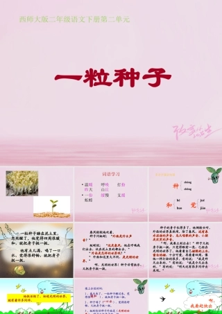 二年级语文下册 课文1 2 一粒种子教学课件 西师大版-西师大版小学二年级下册语文课件