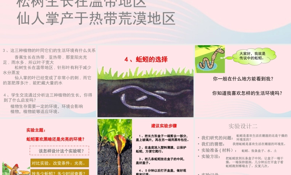 五年级科学上册 1.4《蚯蚓的选择》课件（1） 教科版-教科版小学五年级上册自然科学课件