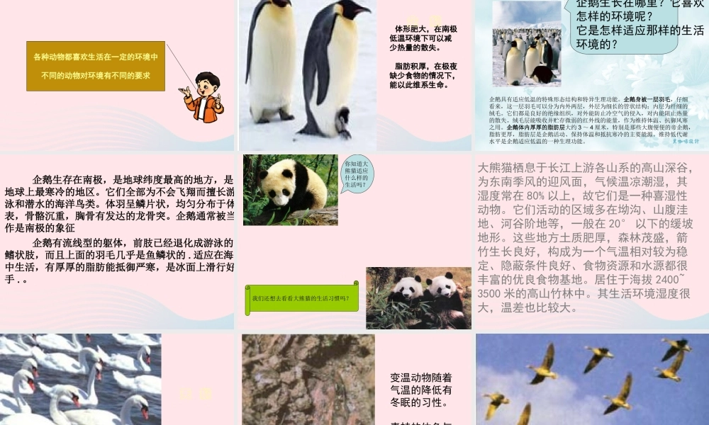 五年级科学上册 1.4《蚯蚓的选择》课件（1） 教科版-教科版小学五年级上册自然科学课件