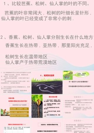 五年级科学上册 1.4《蚯蚓的选择》课件（1） 教科版-教科版小学五年级上册自然科学课件