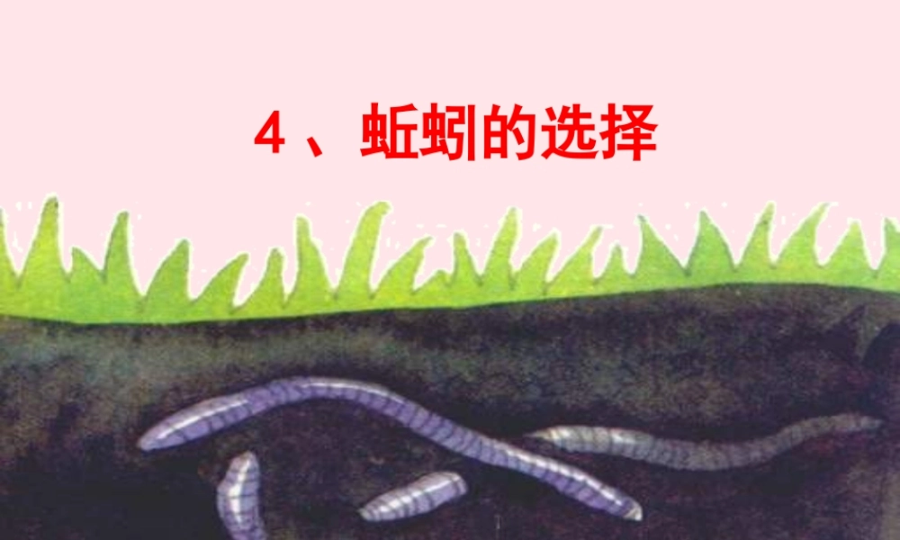 五年级科学上册 1.4《蚯蚓的选择》课件（2） 教科版-教科版小学五年级上册自然科学课件