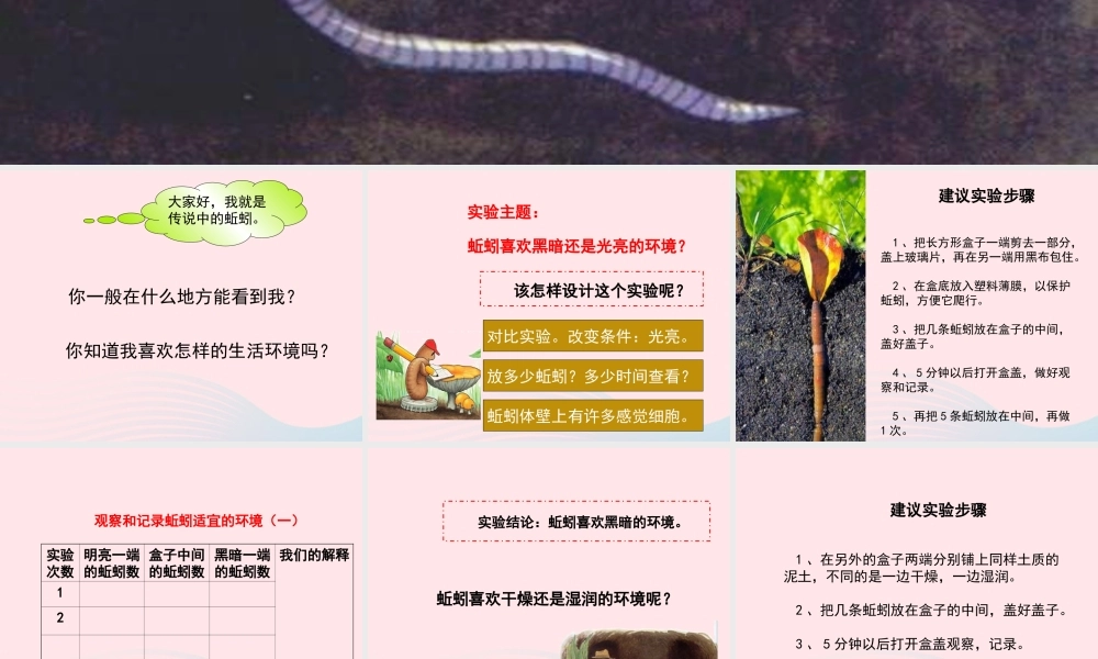 五年级科学上册 1.4《蚯蚓的选择》课件（2） 教科版-教科版小学五年级上册自然科学课件