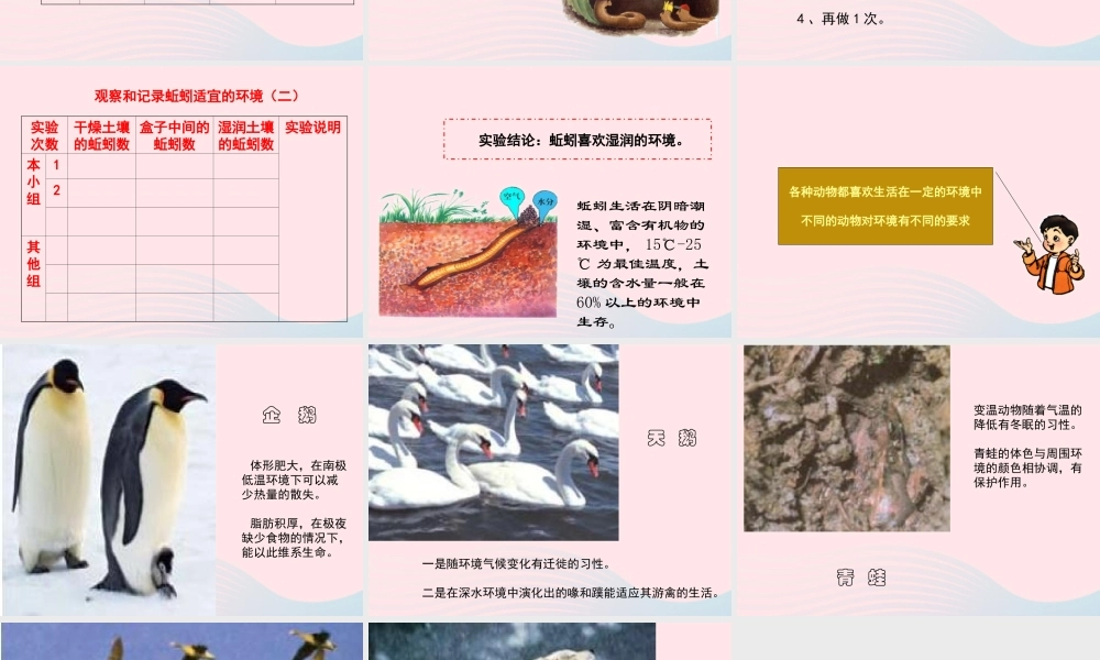 五年级科学上册 1.4《蚯蚓的选择》课件（2） 教科版-教科版小学五年级上册自然科学课件