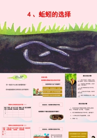 五年级科学上册 1.4《蚯蚓的选择》课件（2） 教科版-教科版小学五年级上册自然科学课件