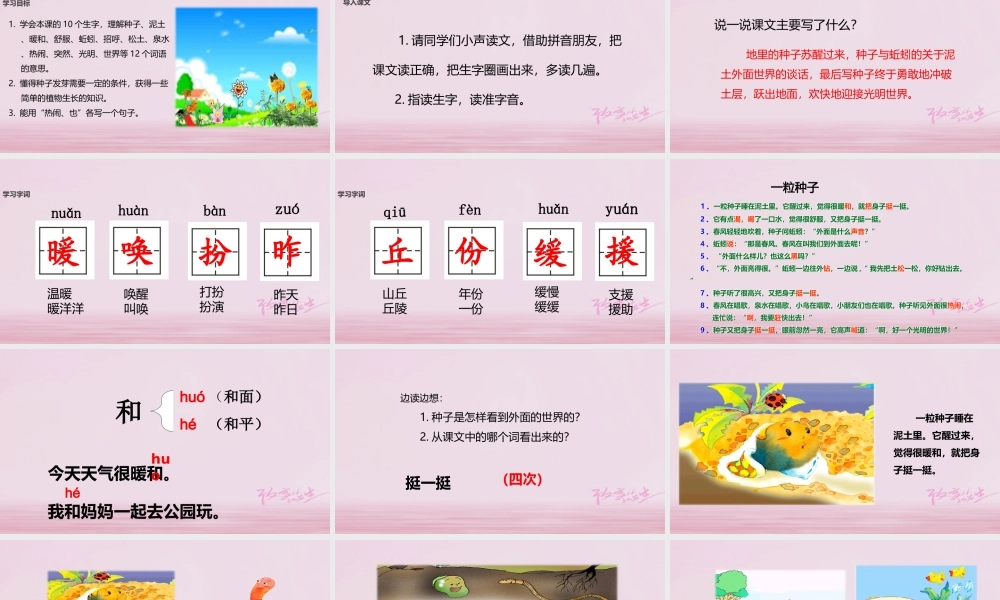 二年级语文下册 课文1 2 一粒种子课件 西师大版-西师大版小学二年级下册语文课件